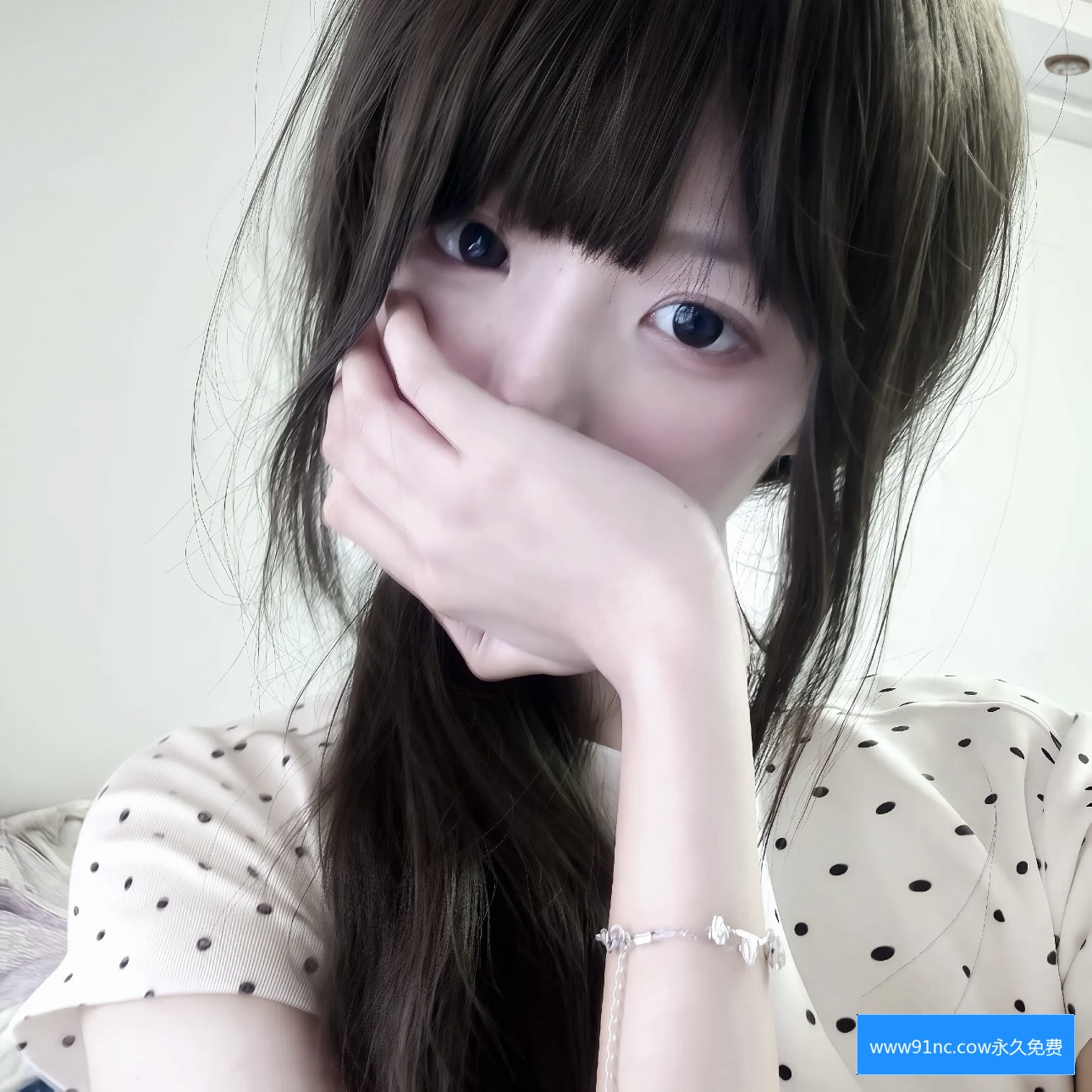 www91n官网有哪些主要功能和使用方法介绍